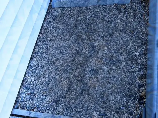 Watching a Rock Bed on LSD