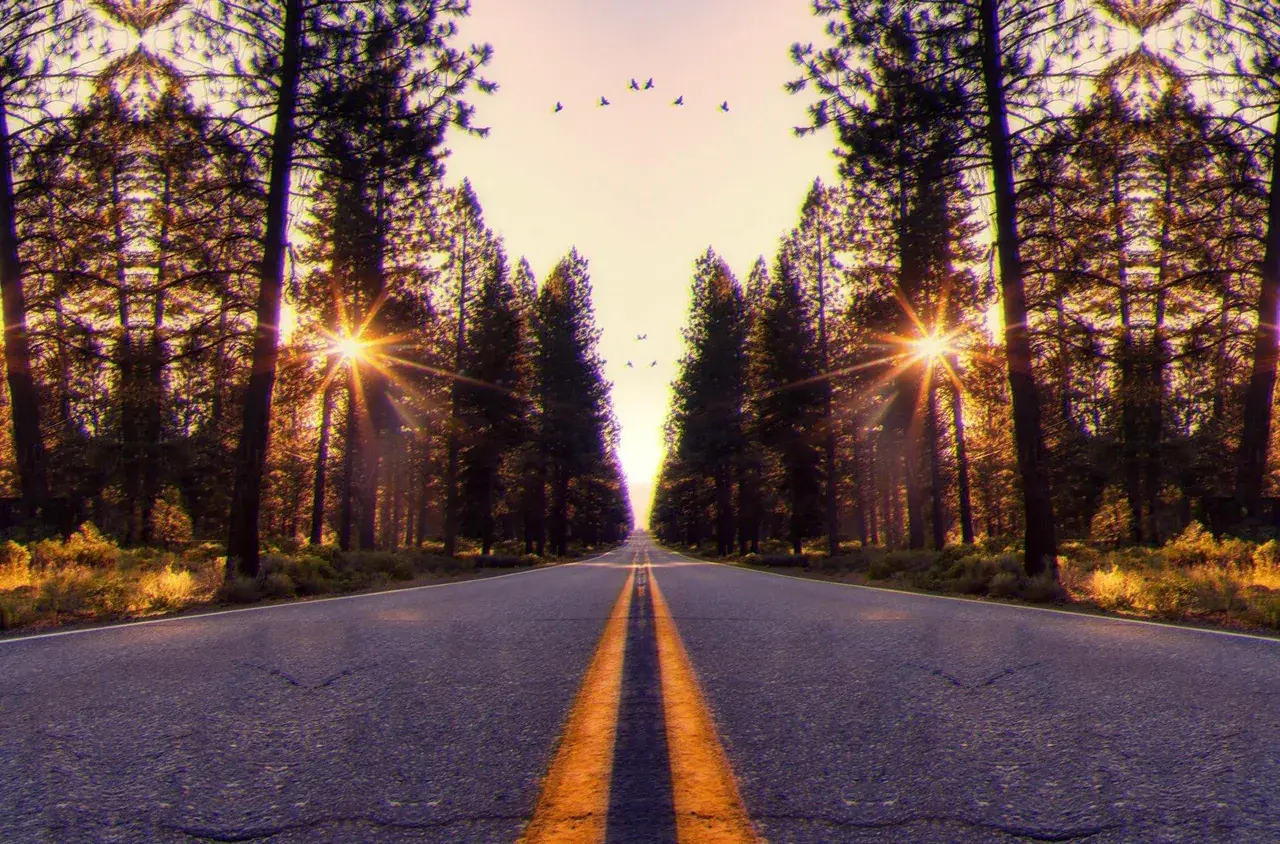 My first replication attempt!