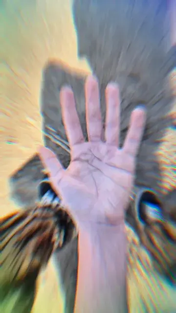 High dose lsd
