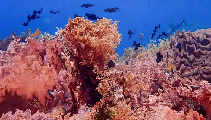 POV your a dolphin and you got ichthyoallyeinotoxism from eating multiple hallucinogenic fish.