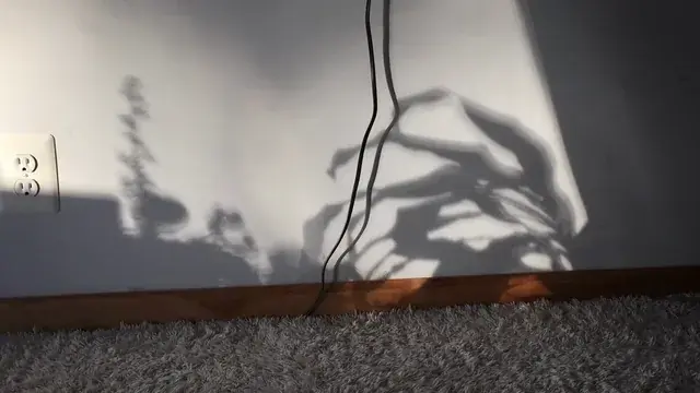 Moving shadows
