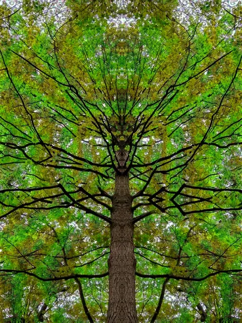 Texture/Color Breathing and Symmetrical Texture Repetition