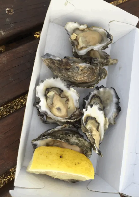 Eating oysters on LSD (trying a new effect)