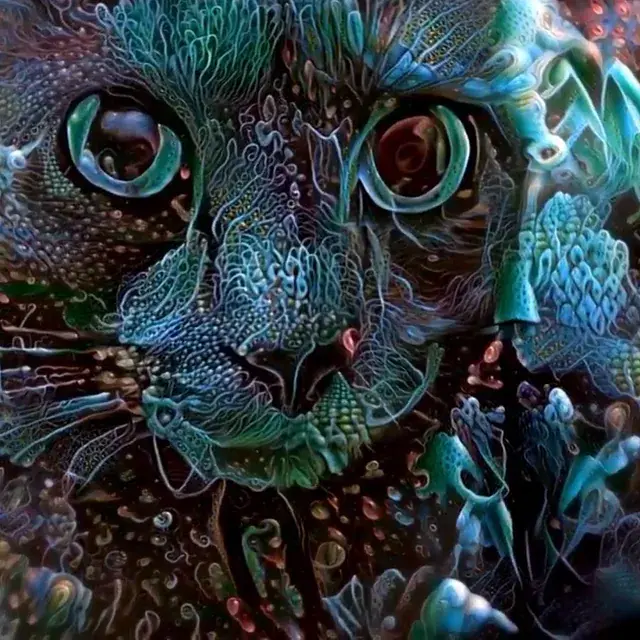 Staring at your cat on DMT before blast off.