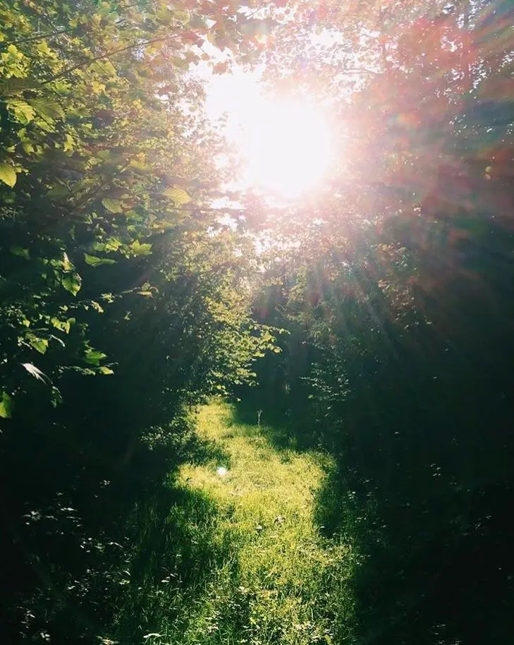 took this on acid in the woods, everything seemed holy, unaltered