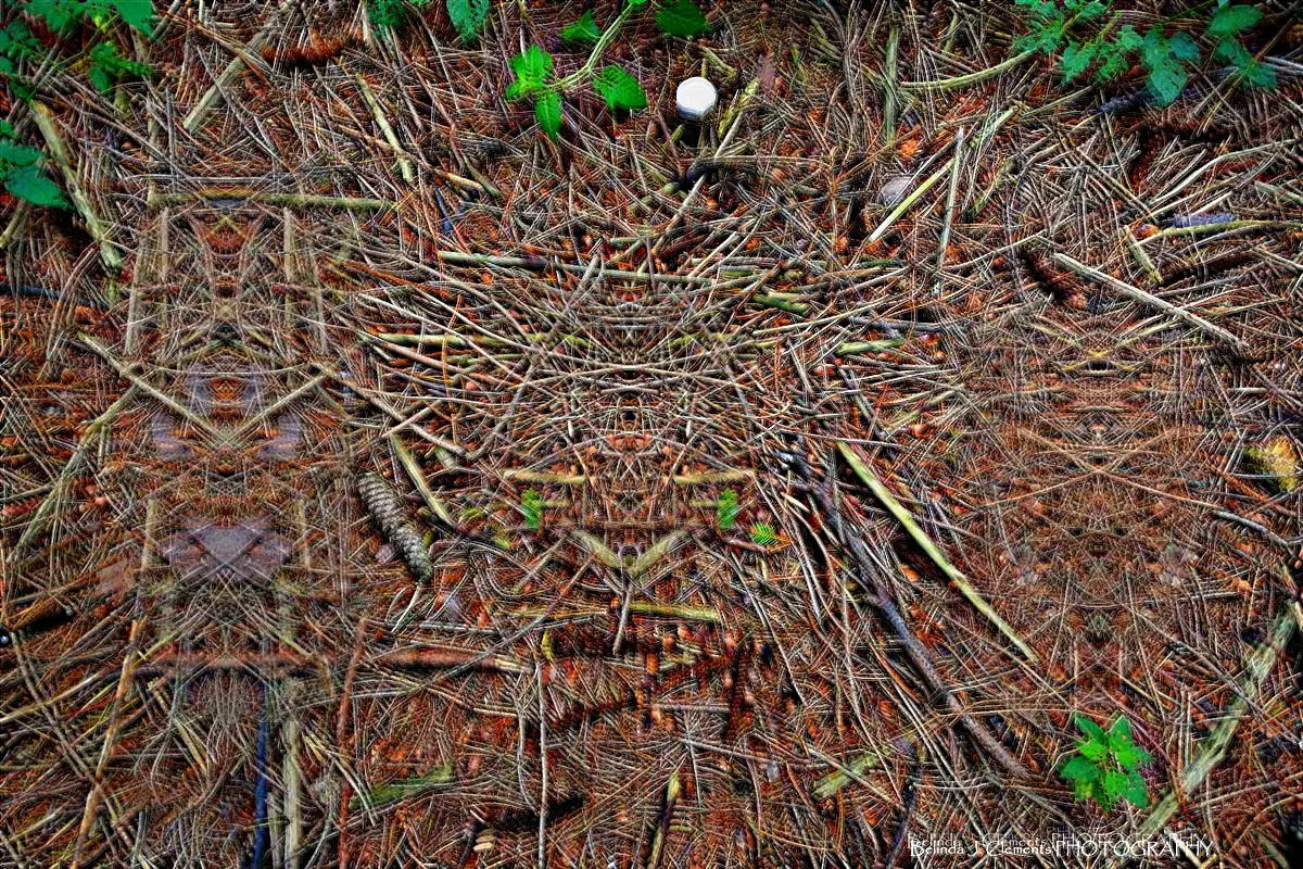 Psilly Symmetry