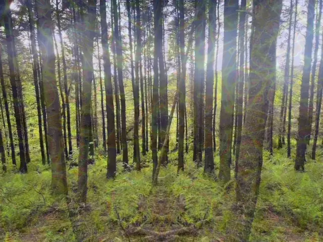 When you close your eyes on the peak: