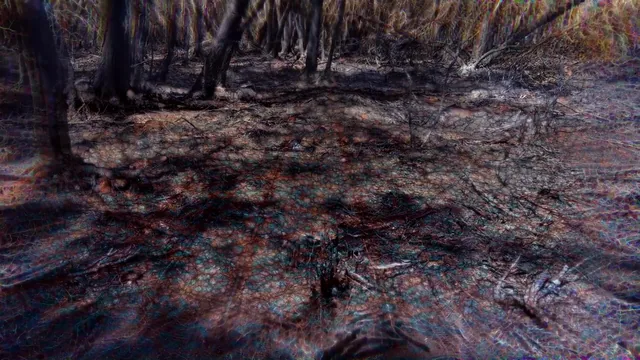 Celebrating 100k r/replications subs (filmed in the wake of the Australian bush fires)
