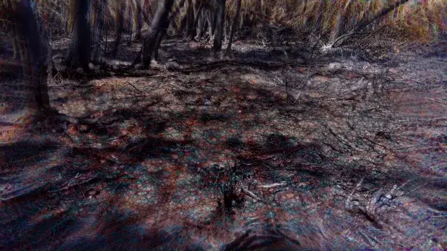 Celebrating 100k r/replications subs (filmed in the wake of the Australian bush fires)