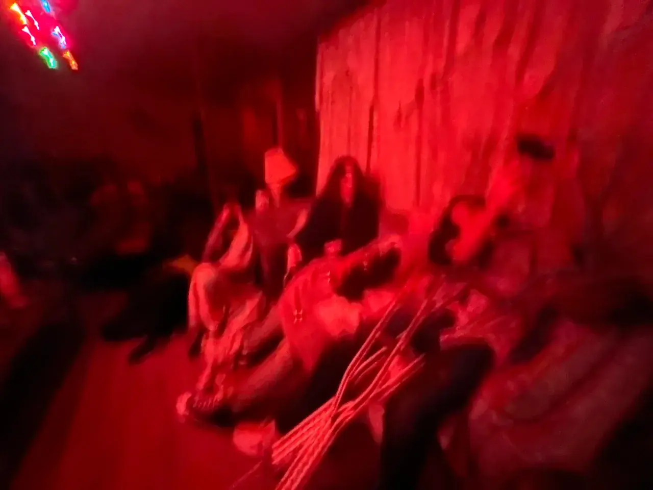 Shrooms in the living room